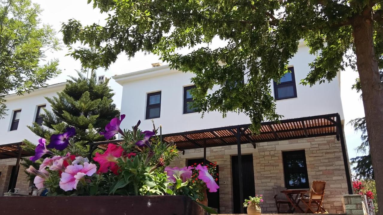 Sivota Apartments Athina Exterior photo